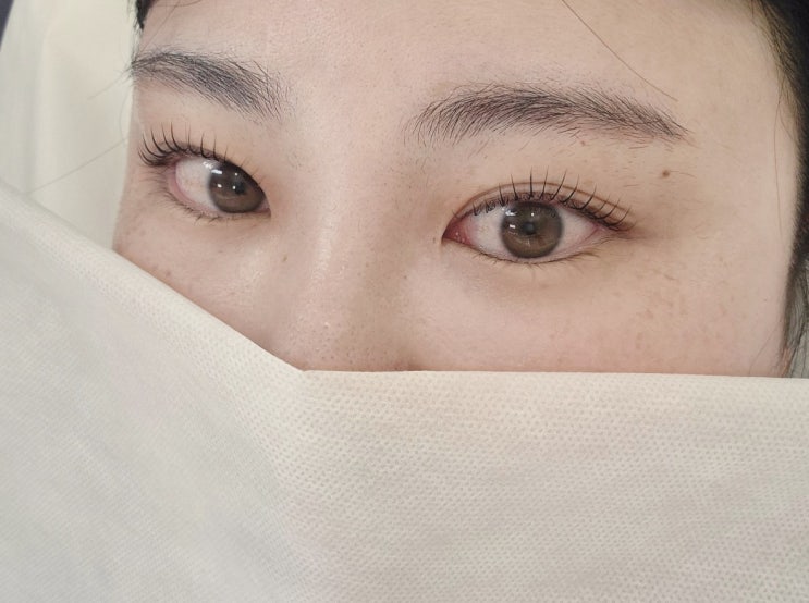 춘천 속눈썹펌 유지력 좋은 근화동 글로우인 강력추천