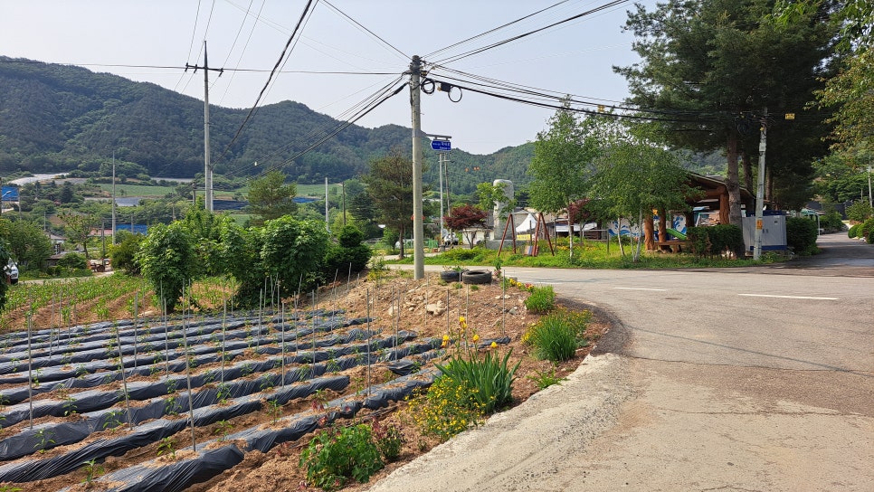 갈밭골 사진 4