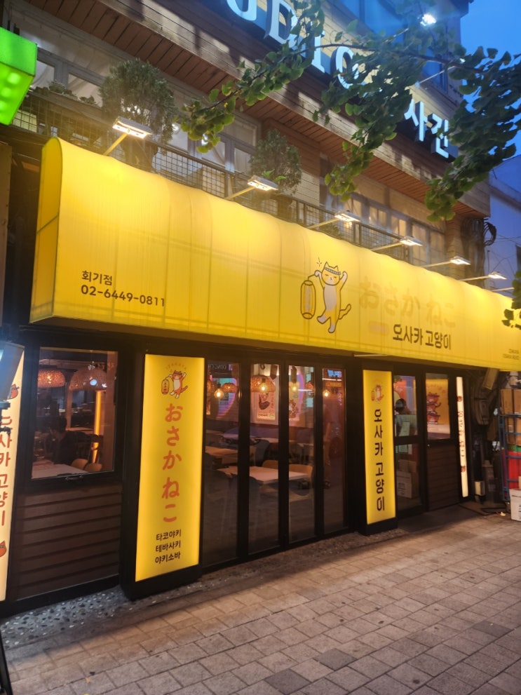  회기 이자카야 추천, 오사카고양이 회기점에서 버터오징어와 맥주 한 잔"