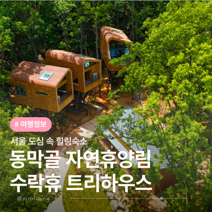  수락산 트리하우스 숲속 숙소, 동막골 자연휴양림 노원 수락휴 예약 가격