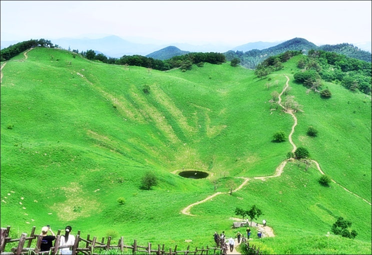  정선 민둥산 여름산행(민둥산 6월풍경, 등산코스, 최단코스, 주차정보, 돌리네, 연못)