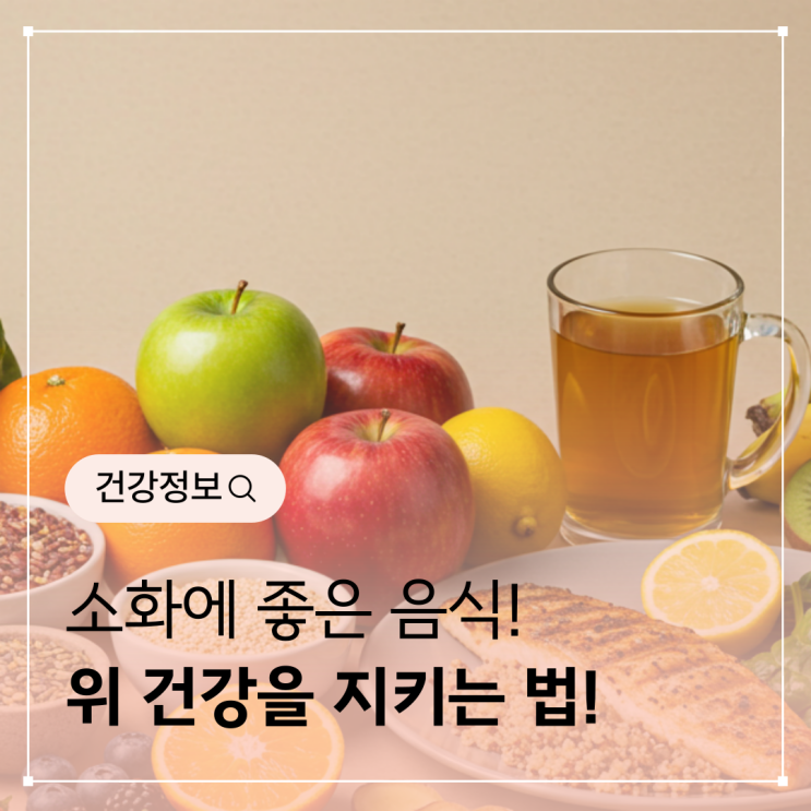  소화에 좋은 음식 - 위 건강을 지키는 법