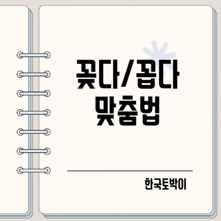  꽂다 꼽다 구분법 칼을 꽂다 손을 꼽다?