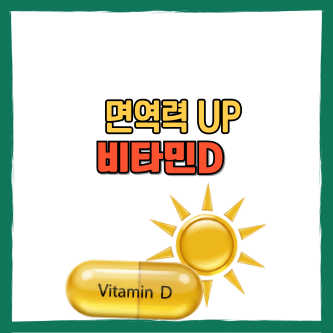 비타민D 음식 비타민디 주사 효능까지 면역력 UP 건강 솔루션