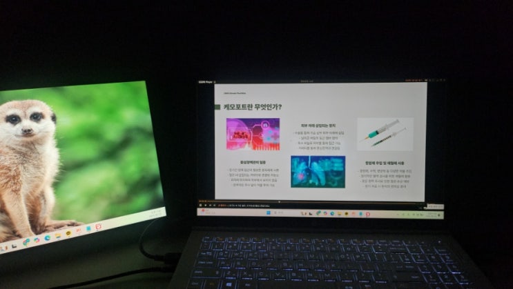  PPT 무료 템플릿 사이트 미리캔버스 5분만에 AI PPT 템플릿 만들기 육아 인플루언서 프레젠테이션 후기