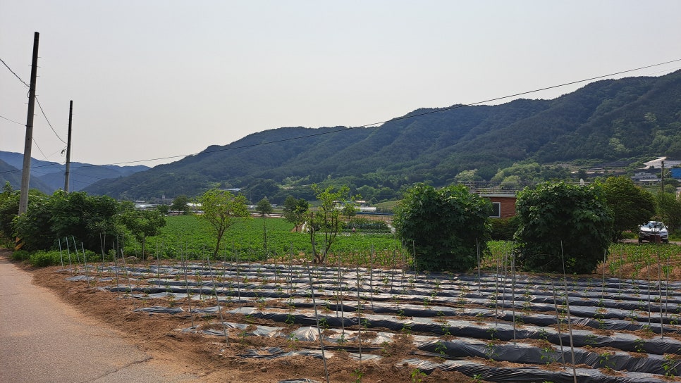 갈밭골 사진 1