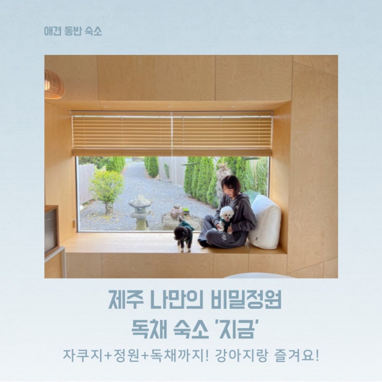 자쿠지와 넓은 마당까지 감성적인 제주 동쪽 애견동반 독채 숙소 지금