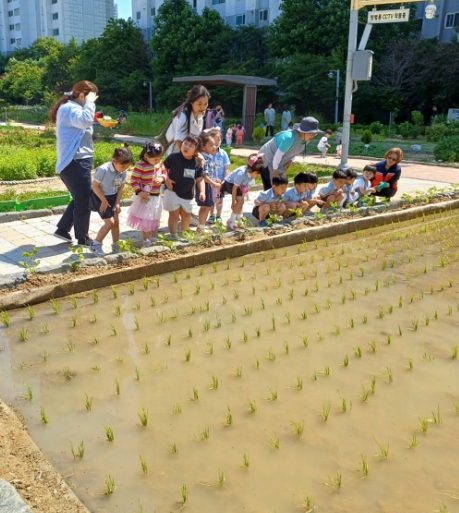 미추홀구, 용현 도시농업공원에 ‘텃논’ 조성…도시농업 실현