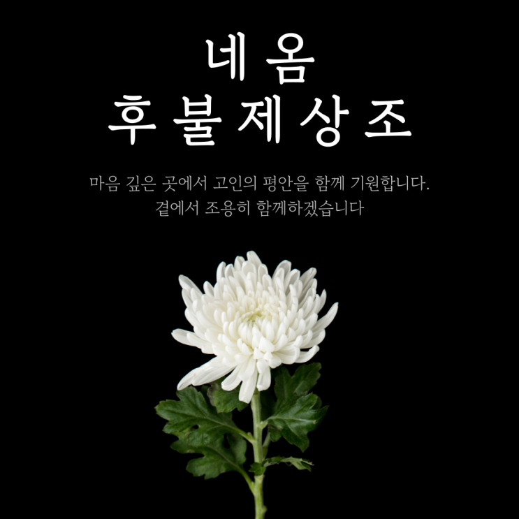 대구후불제상조서비스, 마음을 담아 함께합니다