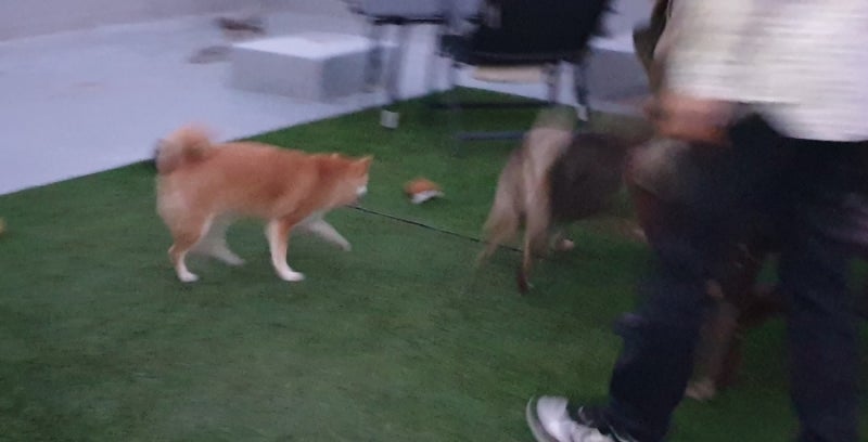 사진 3