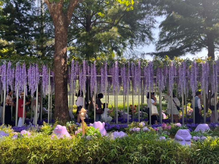 <b>서울국제정원박람회</b> | 보라매공원 | 메타몽가든