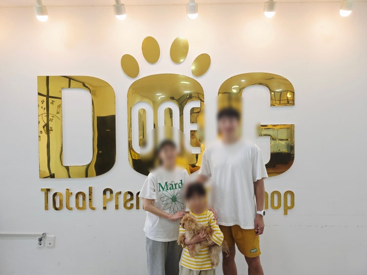  11년간 한길만 걸어 온 세종시 강아지분양 1위 원독 애견분양 센터 , 아들과 함께 한 말티푸 분양 후기