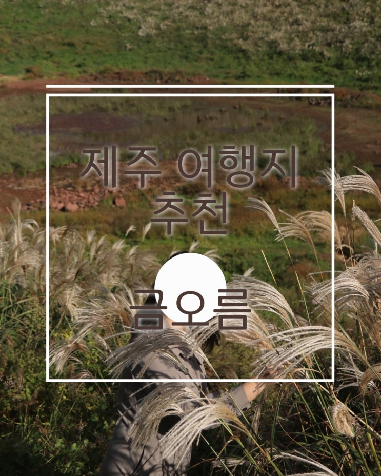  제주 속 숨은 인생오름 추천 금오름 트래킹 난이도 주차
