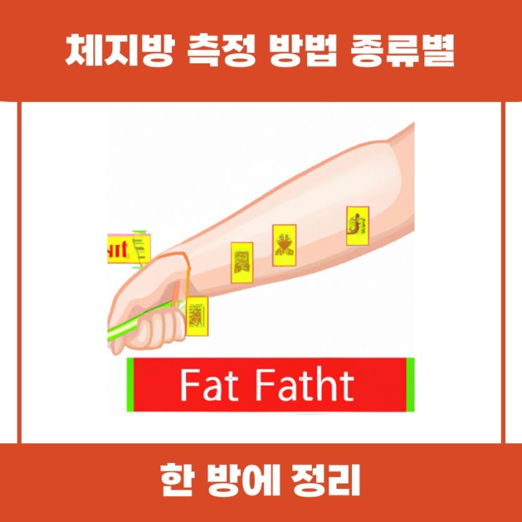  체지방 측정 방법 종류별로 쉽게 알아볼까요