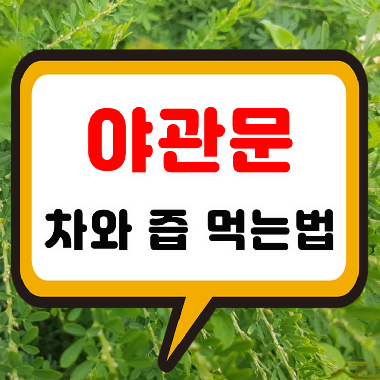 야관문 효능 즙과 차의 올바른 먹는법 및 섭취 부작용 알고 드세요