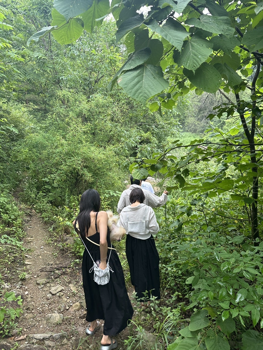 베베독펜션 사진 3