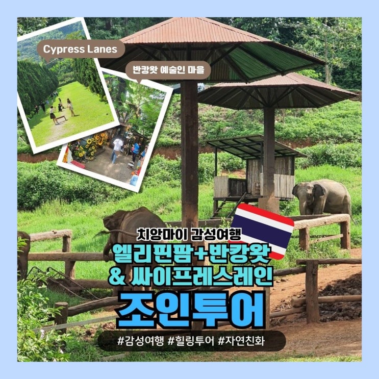  [치앙마이] 치앙마이 감성여행! 엘리핀팜 & 카페 + 반캉왓 + Cypress Lanes (조인투어) (추천투어)
