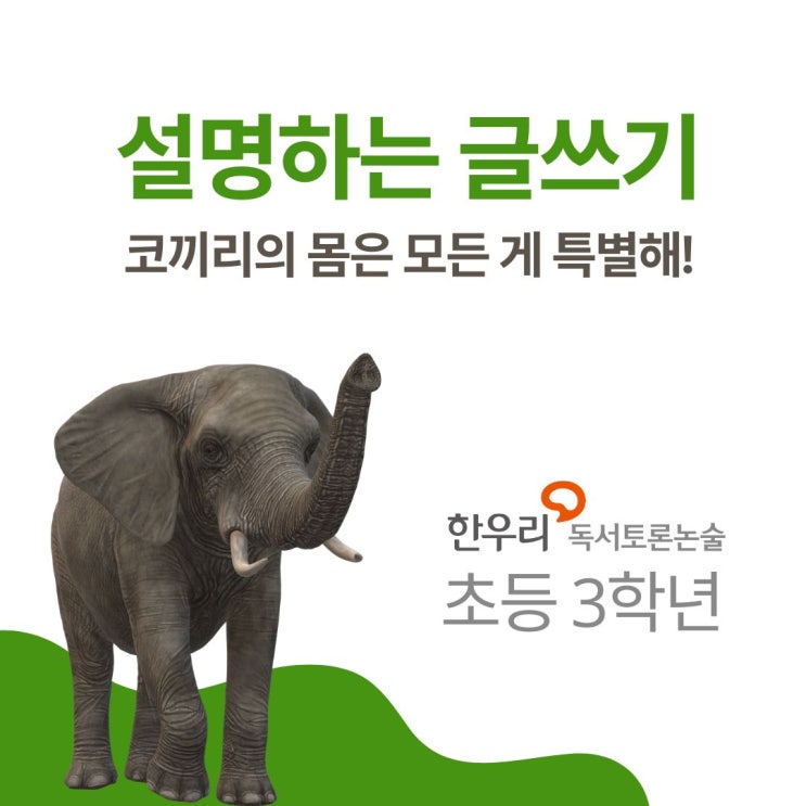  초등 3학년 코끼리의 몸은 모든 게 특별해! 읽고 설명하는 글쓰기