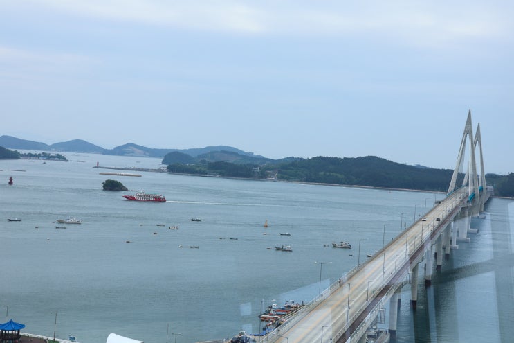 태안 안면도 영목항 전망대 시간 카페 애견동반 입장료 주차장 정보 가볼만한곳 추천
