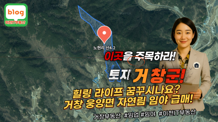   긴급 급매(취득가이하)! 거창 웅양면 임야, 지금 바로 문의하세요!