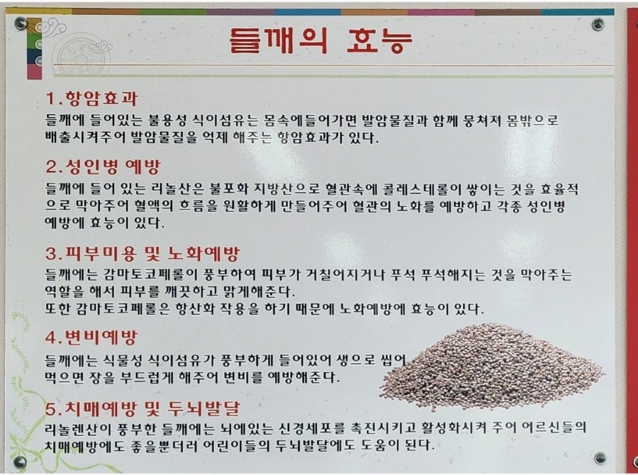 나주우리밀칼국수 사진 5