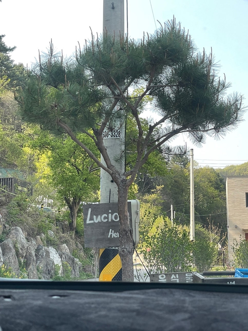 루시올펜션 사진 3