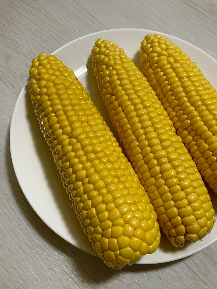  초당옥수수가 이렇게 맛있다니.. 과일같아