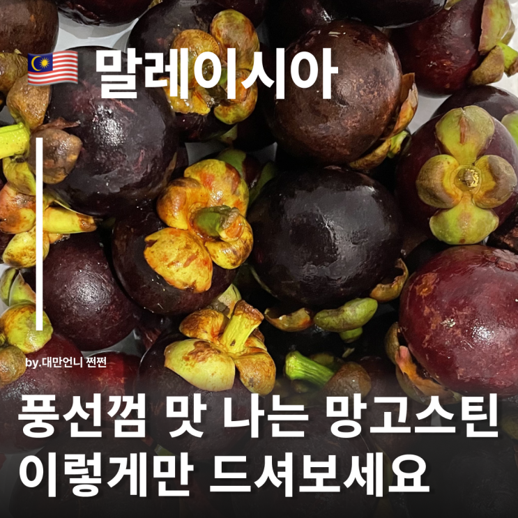  망고스틴 껍질 까는 법 세척 및 보관방법 망고스틴 제철 말레이시아에서 만난 인생 망고스틴