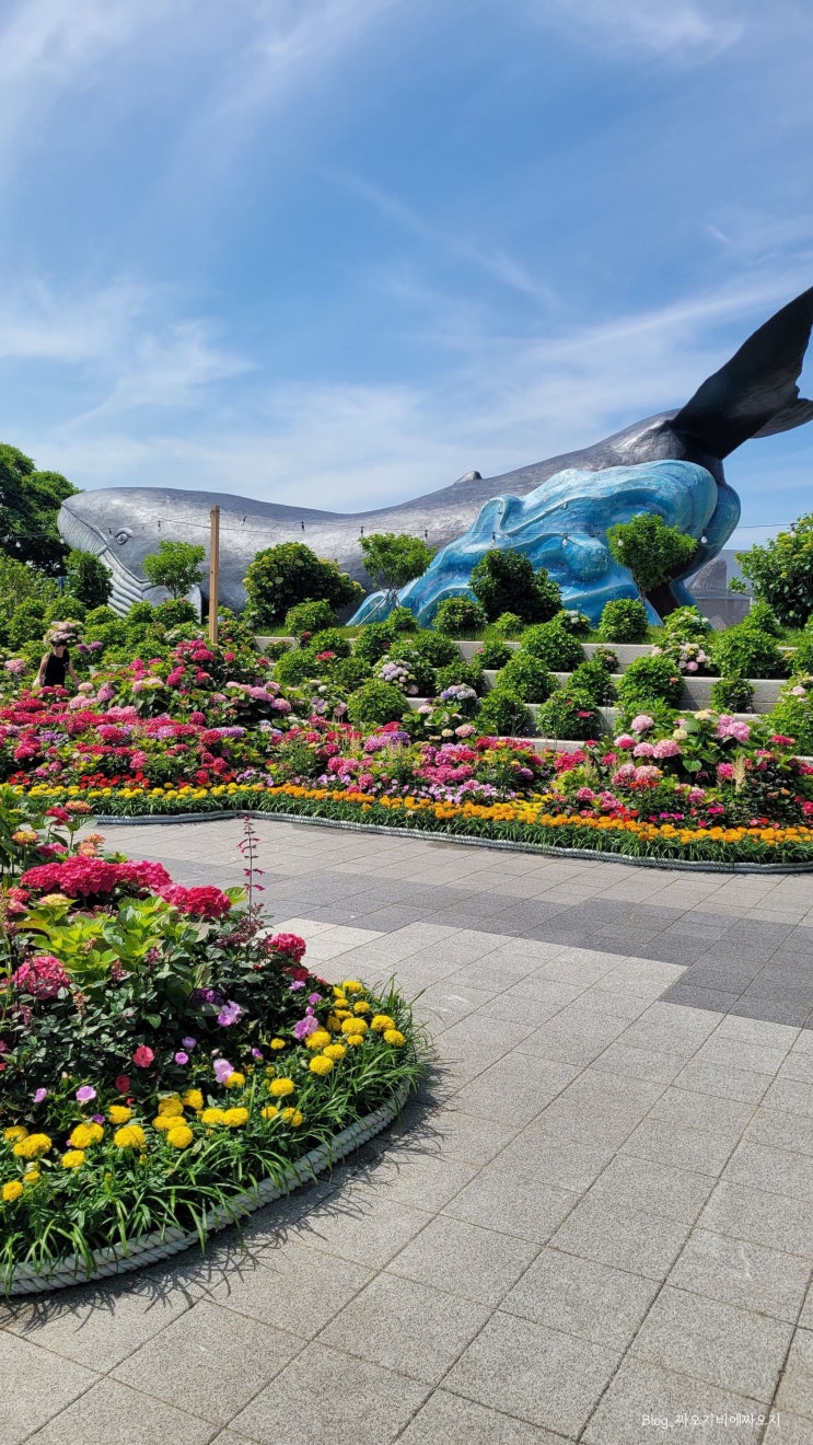  울산 장생포 가볼만한곳, 수국축제와 함께한 고래문화마을