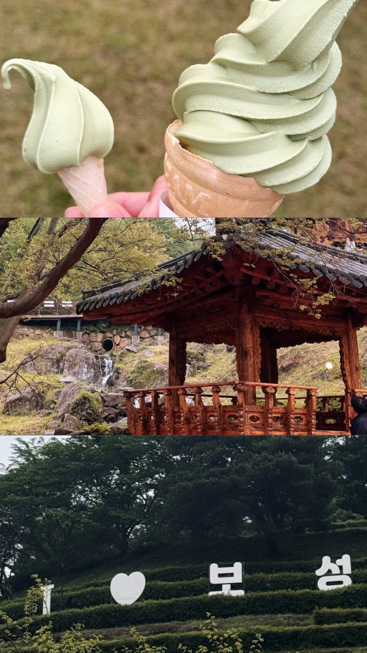  당일치기 보성여행｜율포해수녹차센터, 대한다원, 대원각 