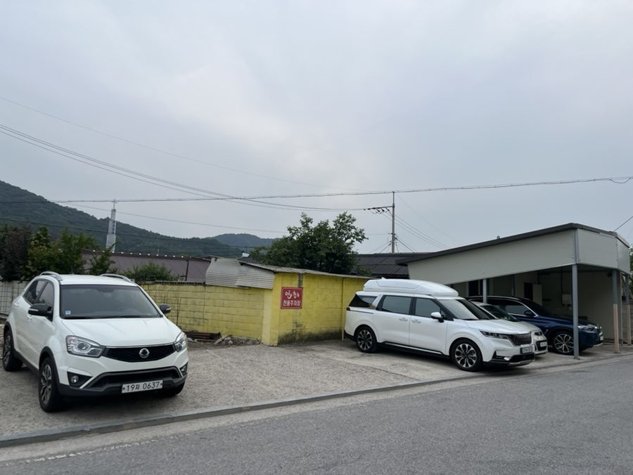 연참치 사진 2