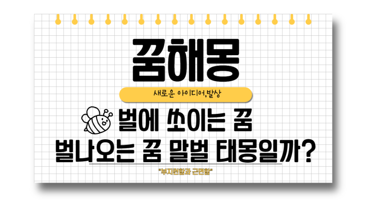  벌에 쏘이는꿈 손등 벌 나오는꿈 말벌 태몽 해몽 부위별풀이