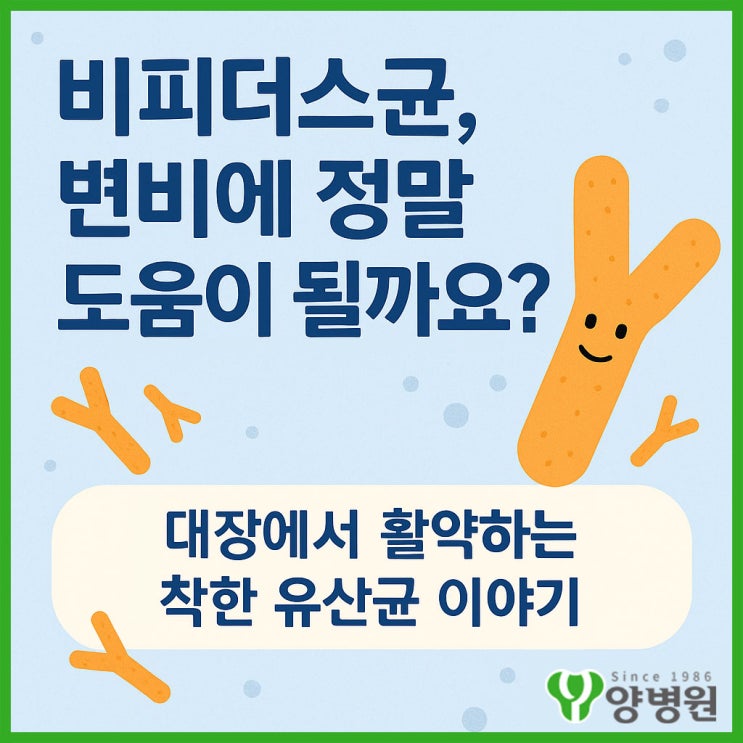  비피더스균, 변비에 정말 도움이 될까요? 대장에서 활약하는 착한 유산균 이야기