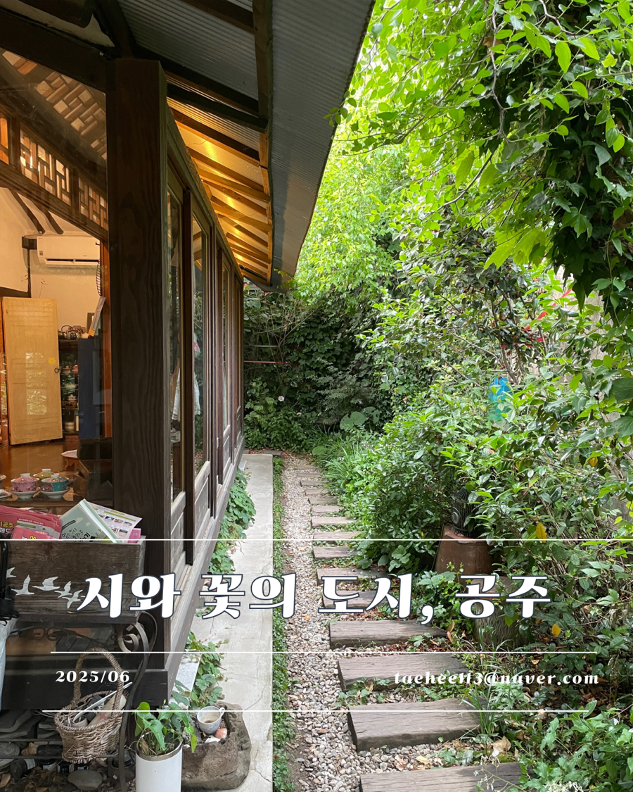 초코루체 사진 1