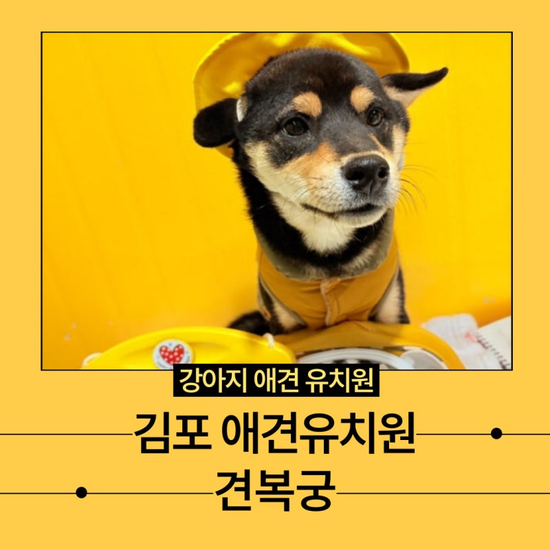사진 9