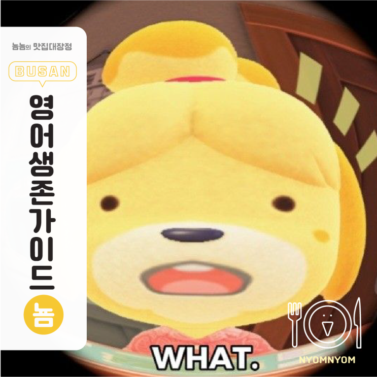  영어 울렁증 대학원생 필독! 영어 수업 & 원서 번역 생존가이드