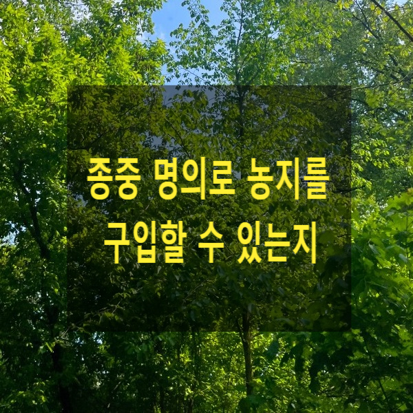  종중 명의로 농지를 구입할 수 있는지(위토, 분묘관리, 농지법)