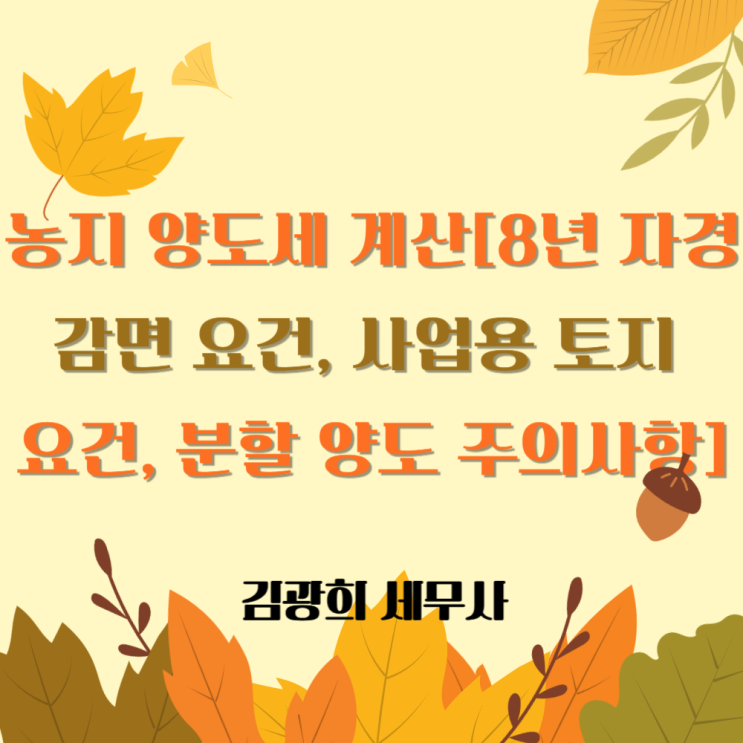  농지 양도세 계산[8년 자경 감면 요건, 사업용 토지 요건, 분할 양도 주의사항]