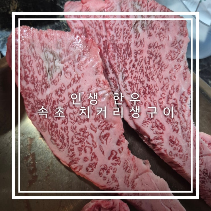  속초 교동 인생한우 맛집 치커리생구이 리뷰  예약은 필수 주차