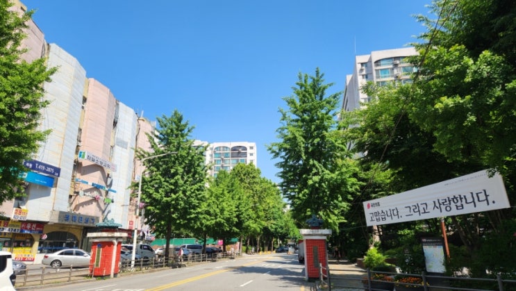  송파구 신천동 장미 2차 아파트 임장: 2025년, 잠실 한강변 재건축의 핵심 동력