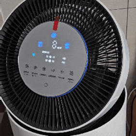LG 퓨리케어 360 공기청정기 플러스 AS305DWWA 후기