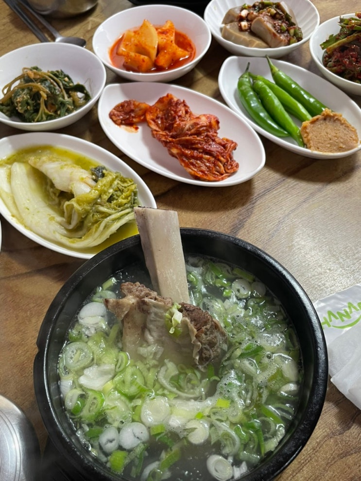 [고흥맛집] 내돈내산 밑반찬 화려한 이차로왕갈비탕