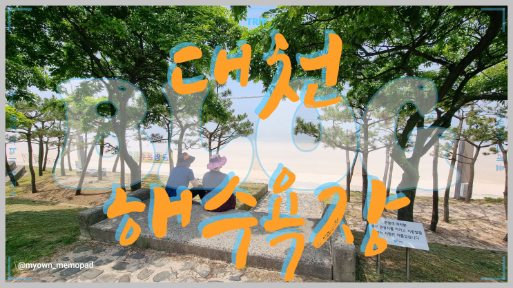  서해안 최대의 해변 대천해수욕장 황금빛 바다와 윤슬 사진전