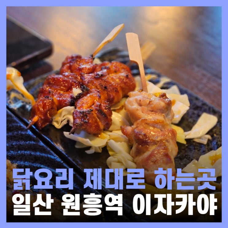  원흥역맛집 술집 닭요리 맛있는 이자카야 토리메로