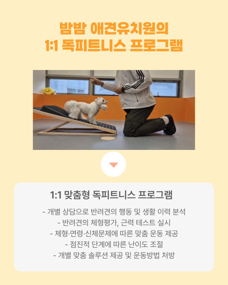 사진 8