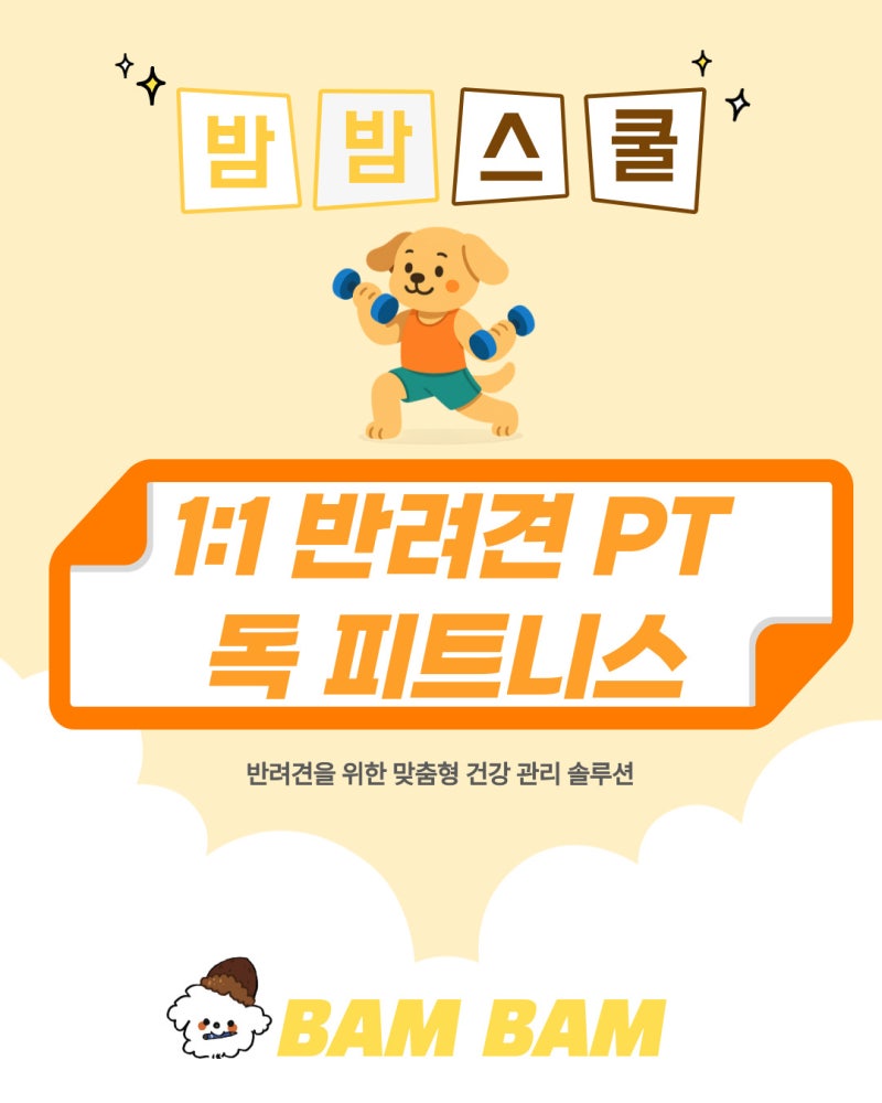 사진 7