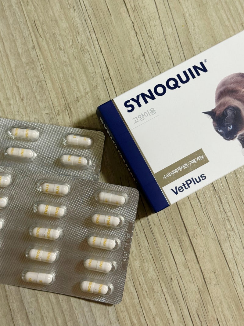 고양이 골관절영양보조제, 벳플러스 사이노퀸