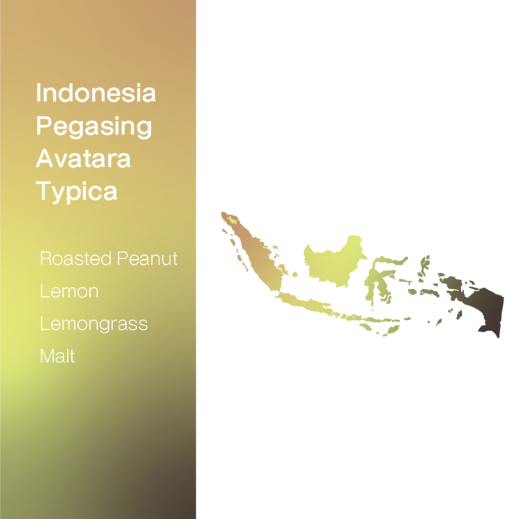 [생두 & 로스팅 리뷰] - 인도네시아 쁘가싱 아바타라 티피카 워시드 - Indonesia Pegasing Avatara Typica Washed