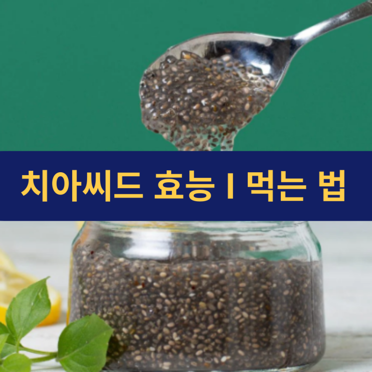 치아씨드 효능 | 칼로리 | 치아씨드 먹는 법 및 세척 방법