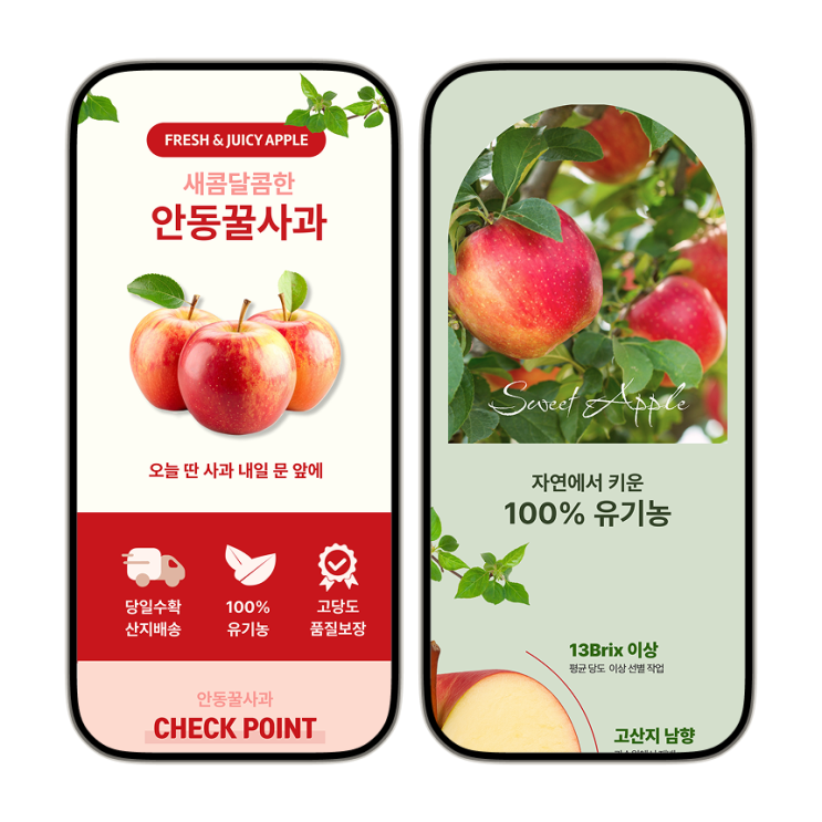  자연을 담은 유기농 사과 상세페이지 – 산지직송/신뢰 강조형 디자인